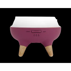 Concept DF1011 aróma difuzér Perfect Air Berry
