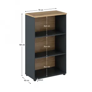 Regál KLAUDIUS TYP 4 Tempo Kondela Dub artisan