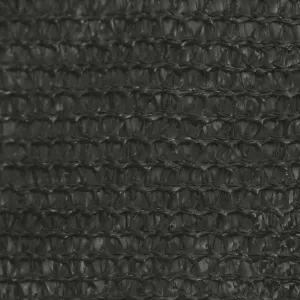 Tieniaca plachta obdĺžniková HDPE 4 x 5 m Dekorhome Černá
