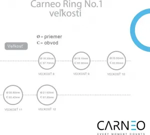 CARNEO Smart prsteň RING No.1, veľkosť 9