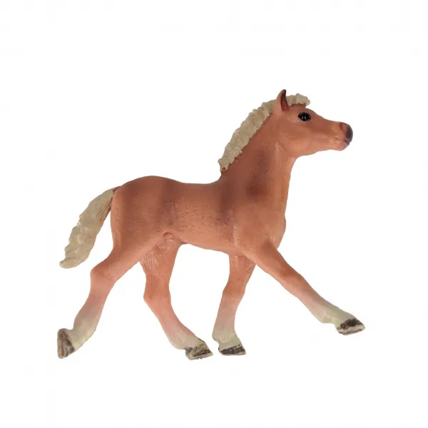 CreativeToys Koník, 3 druhy