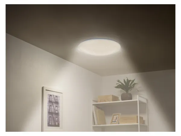 Livarno home Stropné LED svietidlo (hviezdna obloha)