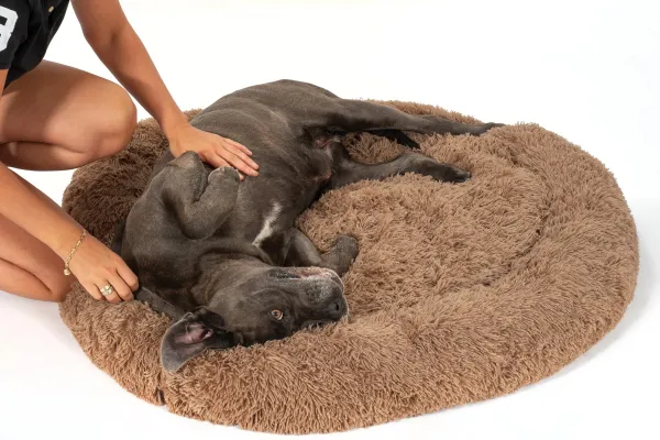 PuppyJoy Okrúhly plyšový pelech pre psov a mačky veľ. L 100 cm hnedý
