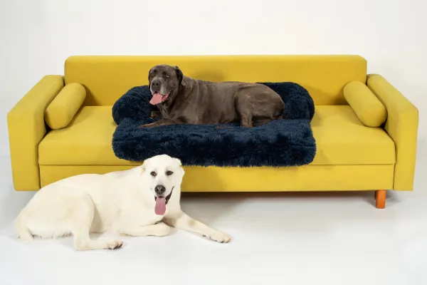 PuppyJoy Rozkladací pelech veľ. L 110x95 cm tmavomodrý