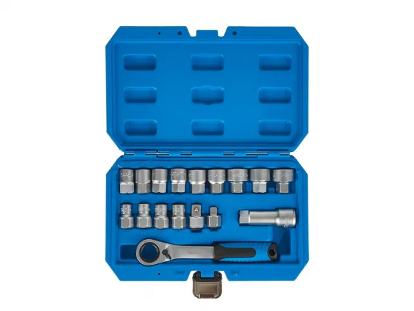 Geko Gola sada s priechodnou račňou, hlavica s profilom Gear Lock 10-24mm, sada 17ks