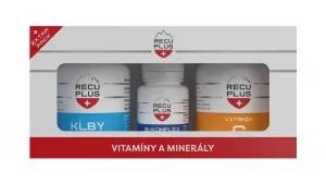RECUPLUS kĺby, vitamín C, B-komplex, 3x 90 tabliet