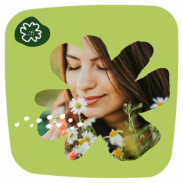 Naturella Normal Camomile slipové vložky 44 ks