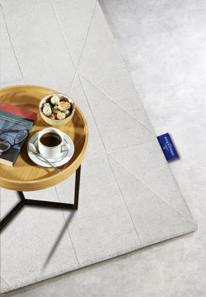 Villeroy & Boch - Hanse Home koberce Kusový koberec Villeroy & Boch 106163 Cream - 120x170 cm