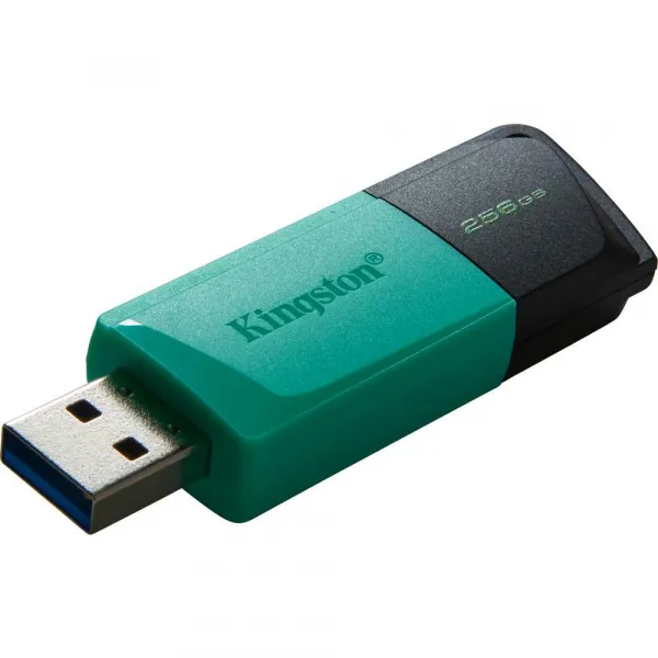 KINGSTON DTXM/256GB USB3.2 Gen 1 USB FD