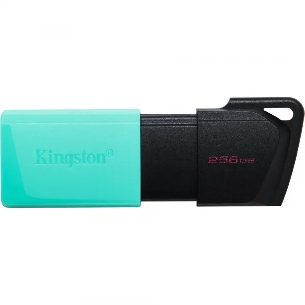 KINGSTON DTXM/256GB USB3.2 Gen 1 USB FD