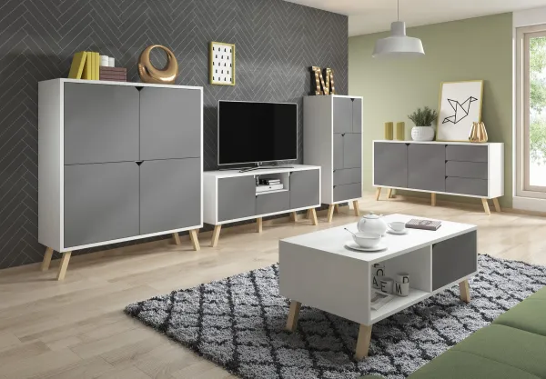 Vivaldi TV stolík Tokio biely matný/šedý matný