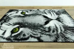 Koberec Rainbow 11179/190 tiger