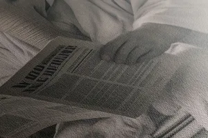 Obraz slon s novinami na záchode
