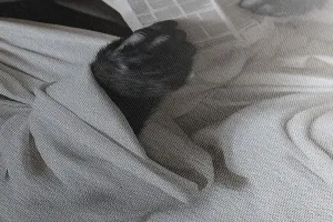 Obraz gorila s novinami na záchode