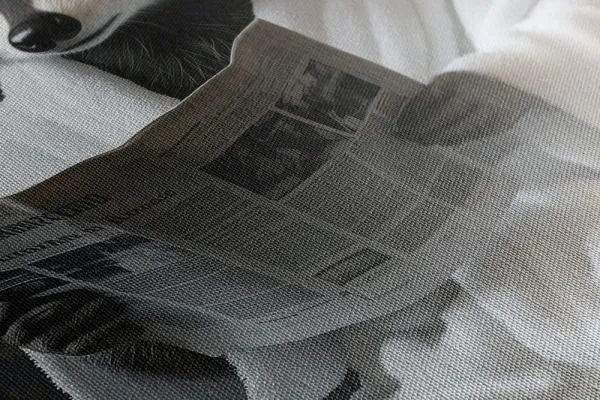 Obraz medvedík čistotný s novinami na záchode
