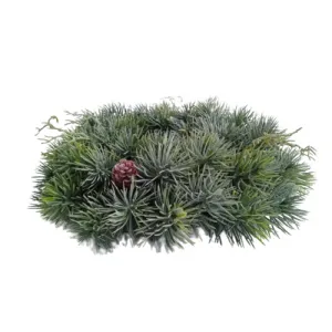Vianočný veniec čečinový srienistý s trávou, pr. 30 cm