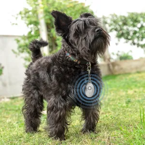 InnovaGoods Ultrazvukový dobíjecí odpuzovač klíšťat pro domácí mazlíčky PetRep