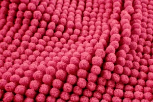 Die moderne Hausfrau Koupelnová předložka SUPER-SOFT, ostružina