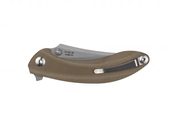 Ruike P155-W