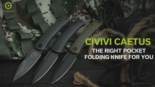 Civivi Caetus C21025C-DS1