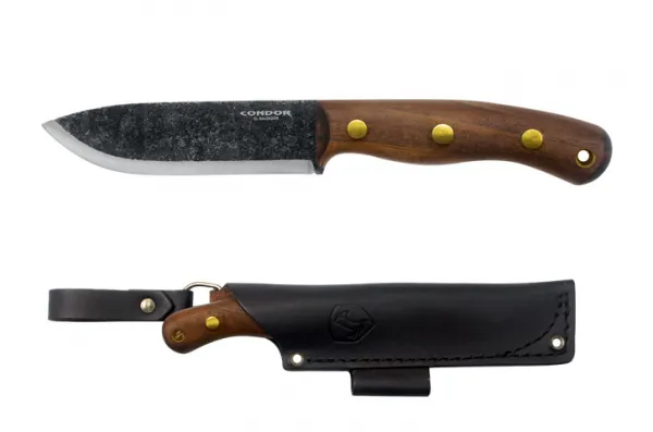 Condor Bisonte