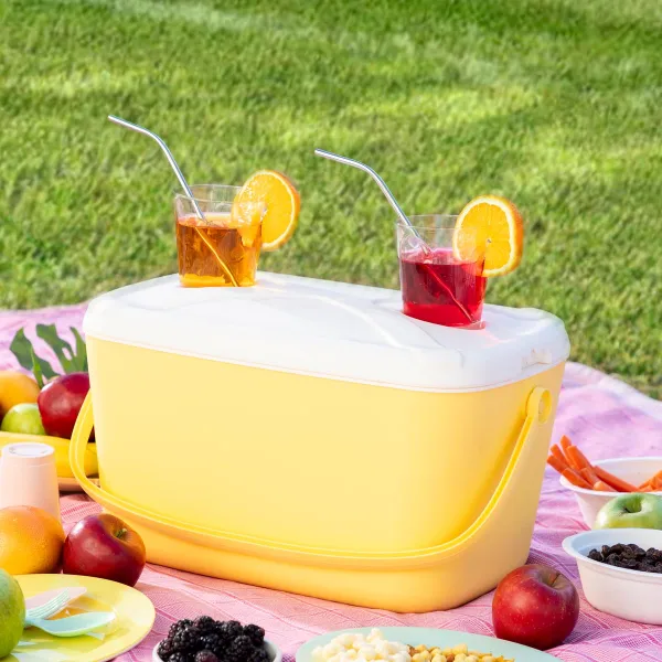 InnovaGoods Přenosný chladicí box Lilty