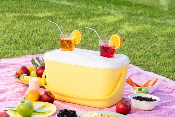 InnovaGoods Přenosný chladicí box Lilty