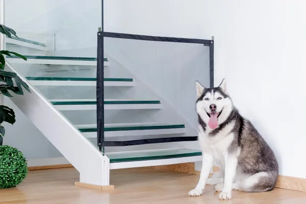 InnovaGoods Síťovaná zábrana pro domácí zvířata Petinu