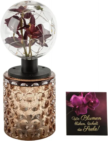 Weltbild LED dekorativní světlo Flor v dárkové krabičce