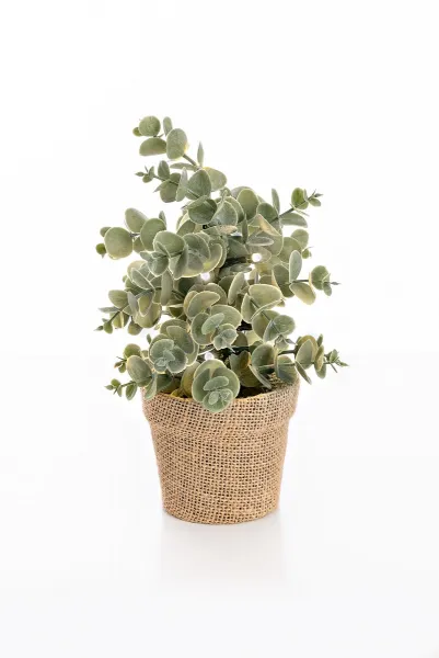 Weltbild LED umělý Eukalyptus v květináči