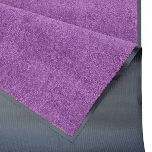 Hanse Home Collection koberce Rohožka Wash & Clean 103838 Violett – na von aj na doma - 40x60 cm