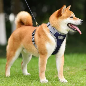 Postroj na výcvik psov ASTRO námornícka modrá veľkosť XL