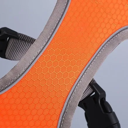 TZB Postroj pro psy ASTRO S oranžový