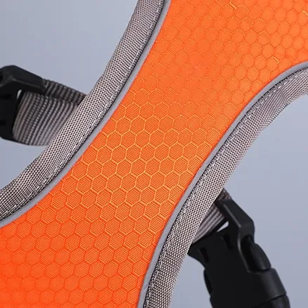 Postroj na výcvik psov ASTRO oranžový veľkosť M