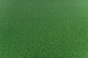 PVC podlaha Artifact Grass 025 imitácia trávy