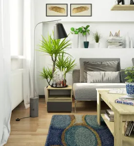 Ak furniture Noční stolek CL1 40 cm dub artisan/grafitově šedý