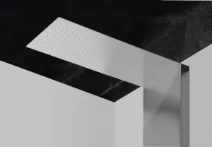 SAPHO - GRACE sprchový panel 220x1450 nerez mat WN326