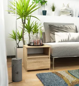 Ak furniture Noční stolek CL1 40 cm dub sonoma