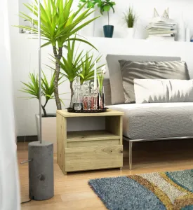 Ak furniture Nočný stolík CL1 40 cm dub artisan