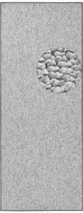 BT Carpet - Hanse Home koberce Behúň Wolly 102840 - 80x200 cm