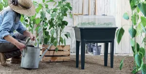 NABBI IPE600 plastové parenisko na nožičkách 59,6 cm antracit