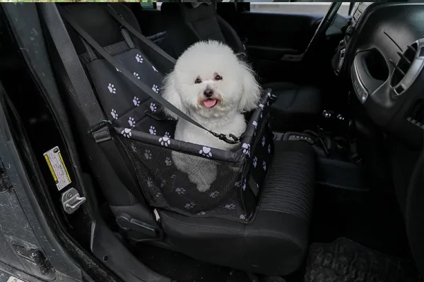 Skladacia prepravka do auta pre psov a mačky 69754