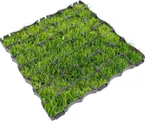 JAKS Zatrávňovacia plastová dlažba E4 50 x 50 cm čierna