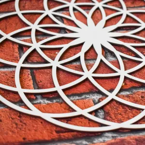 Posvätná geometria - Symbol kvet života