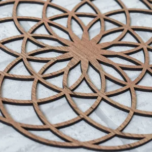 Posvätná geometria - Symbol kvet života