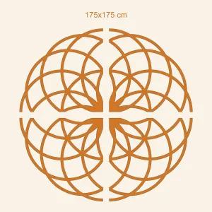 Posvätná geometria - Symbol kvet života