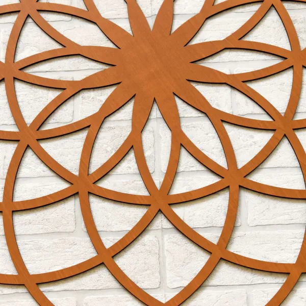 Posvätná geometria - Symbol kvet života