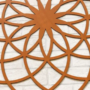 Posvätná geometria - Symbol kvet života