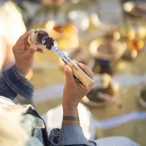 Opinel Sada Picnic +