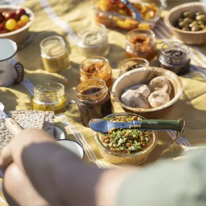 Opinel Sada Picnic +